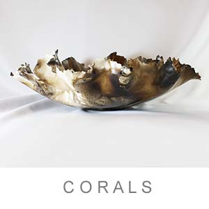 Corals